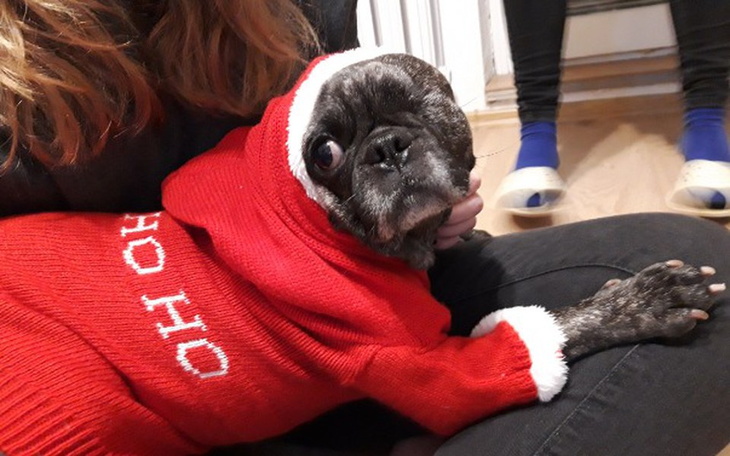 Zbiórka Pomoc dla buby - zdjęcie główne