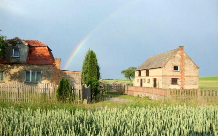 Zbiórka Wymarzony Remont Siedliska - zdjęcie główne