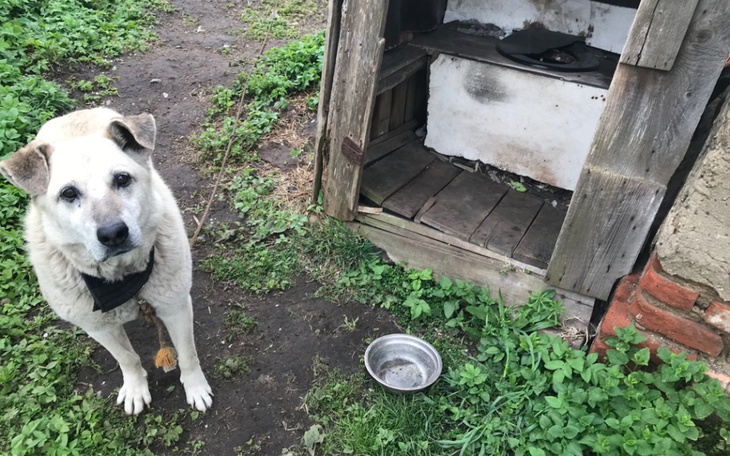 Zbiórka Bezpieczna przystań bezdomniaków - zdjęcie główne