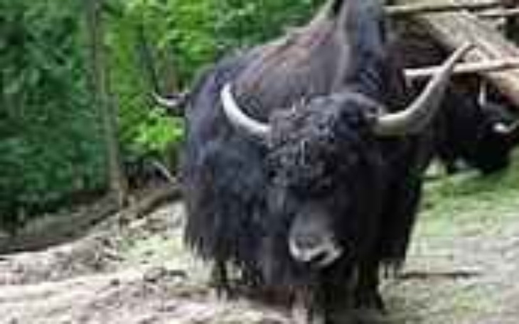 Zbiórka Poradnia psych.dla mężczyzn - zdjęcie główne