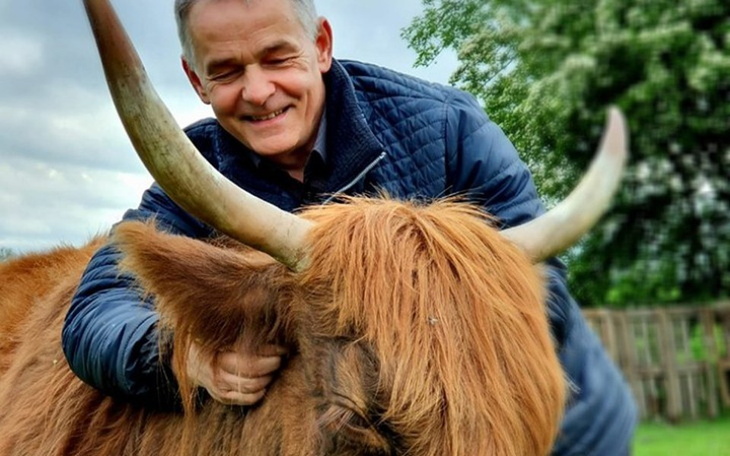 Zbiórka Koń śpi w stajni, a jeździec... - zdjęcie główne