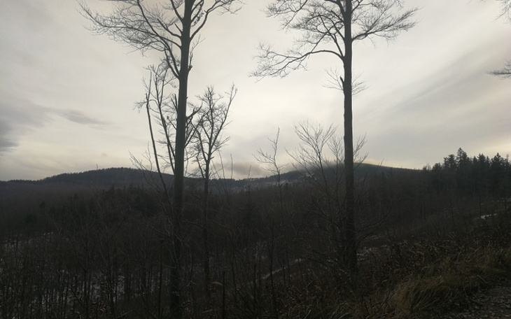 Noworodek śpiący w otoczeniu poduszek.