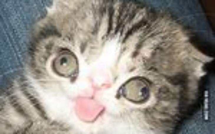 Zbiórka Na nowy komputer 0 - zdjęcie główne