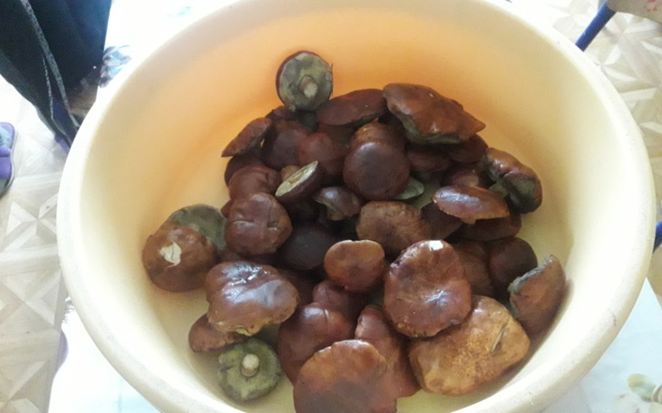 Zbiórka Implanty zębów dla młodego - zdjęcie główne