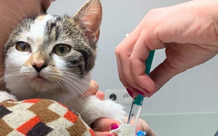 Zbiórka Mała Nelcia - zdjęcie główne