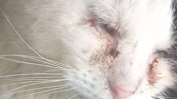 Zbiórka Bazarek Ruptuś - miniaturka zdjęcia