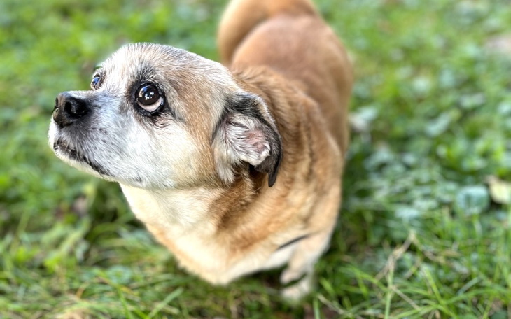 Zbiórka Dzięki Tobie będzie mógł chodzić - zdjęcie główne