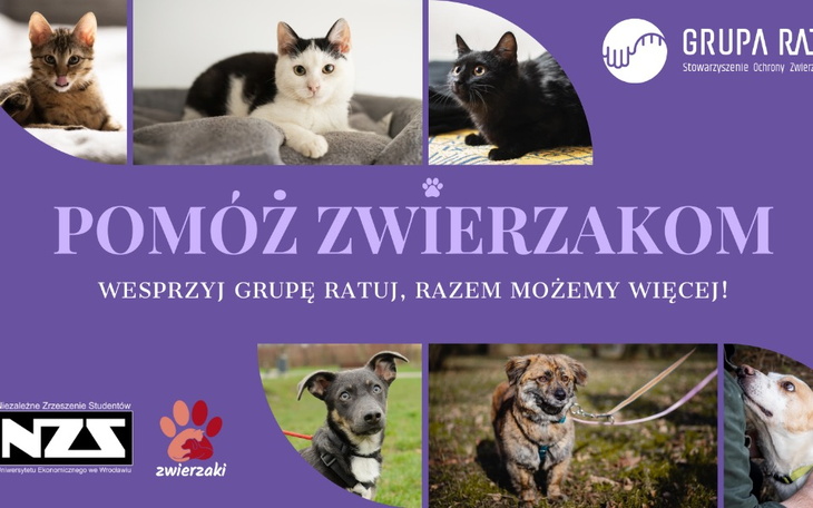 Zbiórka Zwierzaki NZS x GRUPA RATUJ - zdjęcie główne