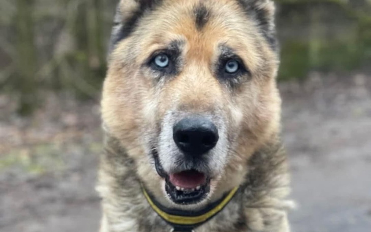 Zbiórka Na godne ostatnie miesiące - zdjęcie główne