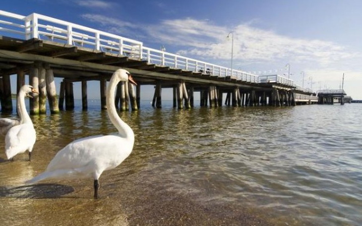 Zbiórka Wakacje nad morze dla dzieci - zdjęcie główne