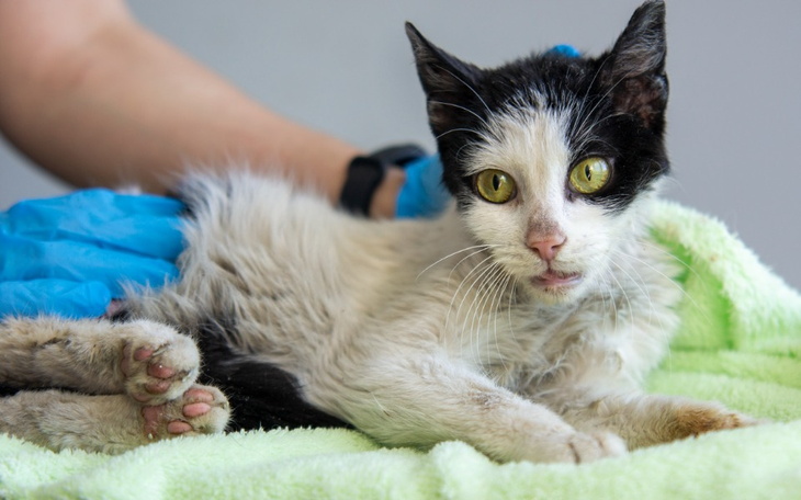 Zbiórka Mruczarnia, maj 2023 - zdjęcie główne