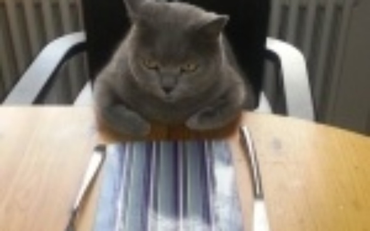 Zbiórka Dla Filipa na Badania - zdjęcie główne