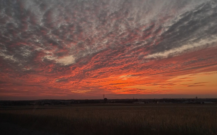 Zbiórka Opłaty za wynajem - zdjęcie główne