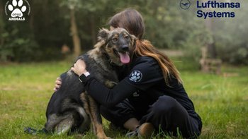 Zbiórka Dla zwierzaków z OTOZ Animals - miniaturka zdjęcia
