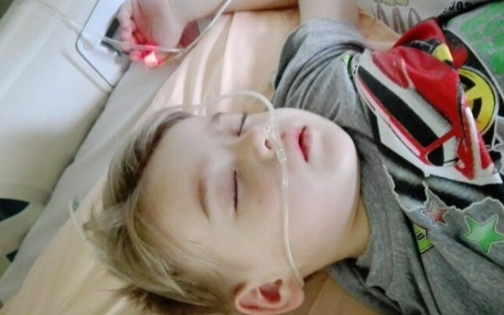 Zbiórka Pomoc dla Fifiego - zdjęcie główne