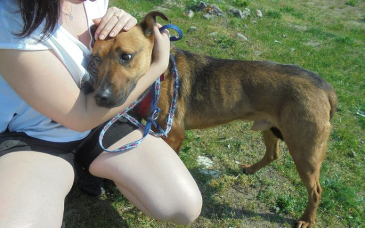 Zbiórka Chcieli UŚPIĆ-zbieramy na hotel! - zdjęcie główne