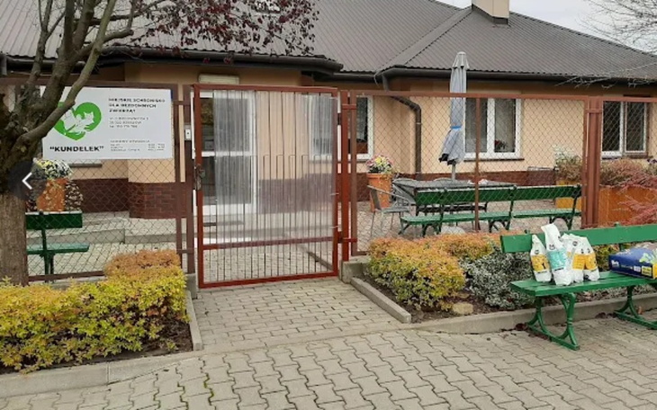 Zbiórka Pomoc Dla Schroniska ,,Kundelek - zdjęcie główne