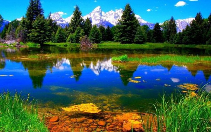 Zbiórka Histrutyzm - zdjęcie główne