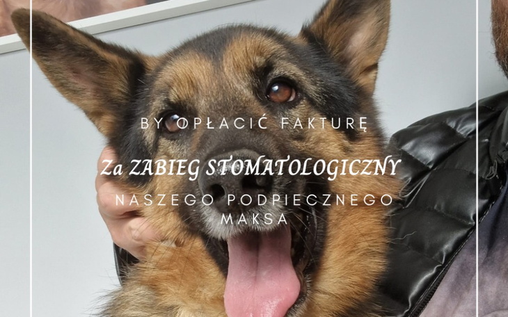 Zbiórka Zabieg stomatologiczny Maksa - zdjęcie główne