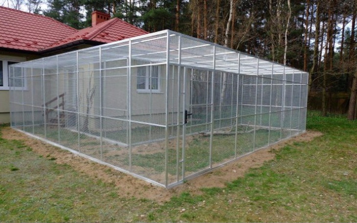 Zbiórka Woliera dla bezdomnych kotów - zdjęcie główne