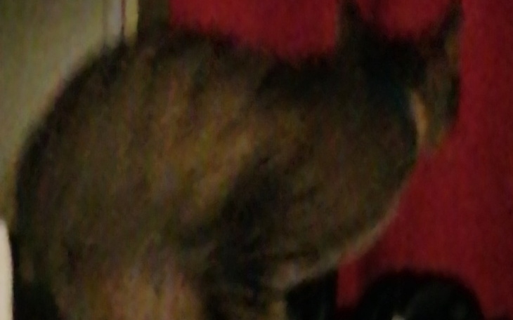 Zbiórka Potrzeby bieżące - zdjęcie główne