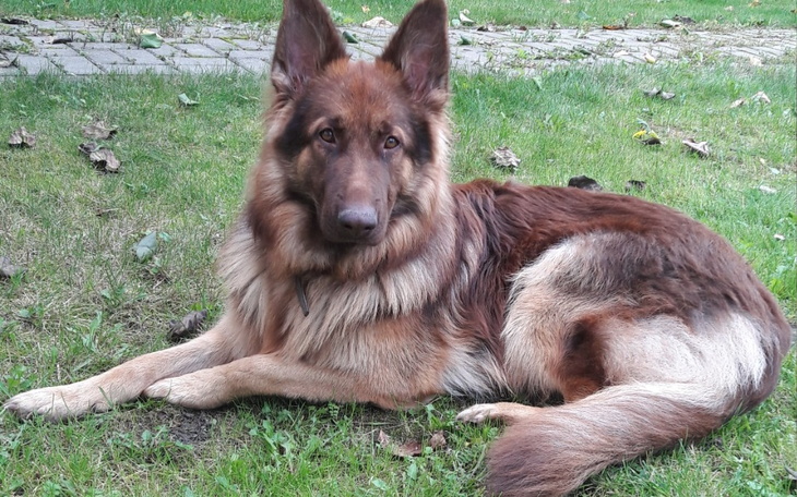 Zbiórka Pomoc Birmie-pomóż nam być razem - zdjęcie główne