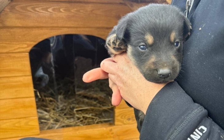 Zbiórka 1250 km - szansą - zdjęcie główne