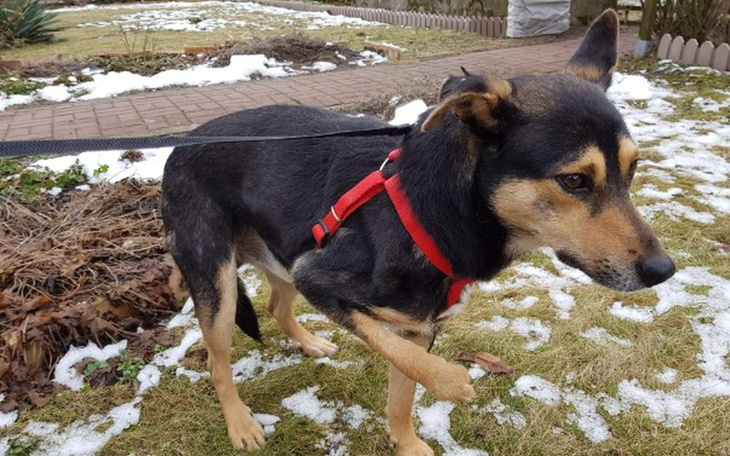Zbiórka Na tomografie dla Fredka - zdjęcie główne