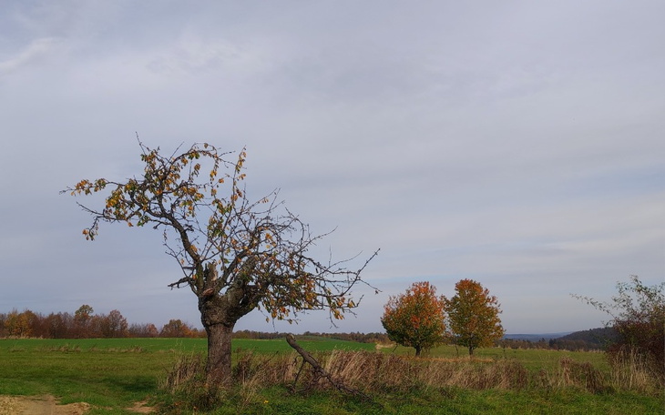 Zbiórka Na finansowy oddech - zdjęcie główne