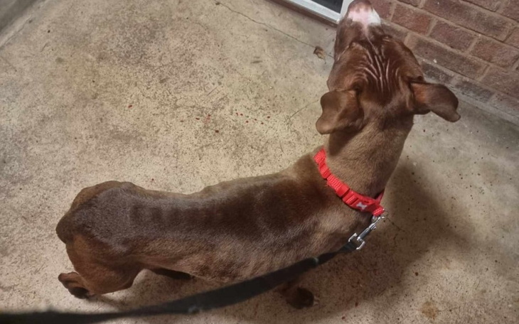 Zbiórka Czyny nie słowa - zdjęcie główne