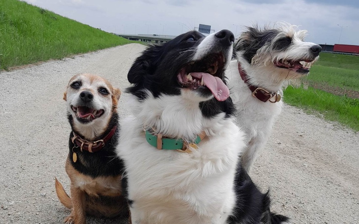 Zbiórka Jedzenie dla Ocaleńców - zdjęcie główne