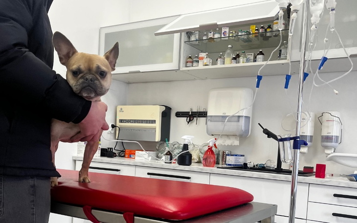 Zbiórka Zdiagnozowany ucisk na kręgosłup - zdjęcie główne