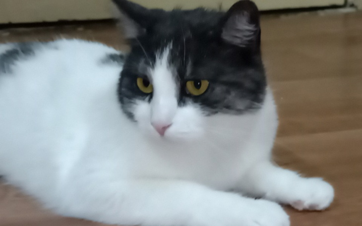 Zbiórka Badania Kazika i Sabiny - zdjęcie główne