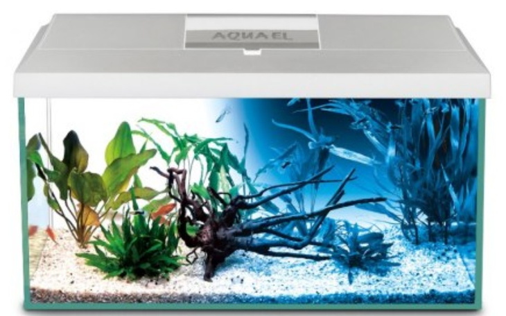 Zbiórka Zbieramy na akwarium - zdjęcie główne