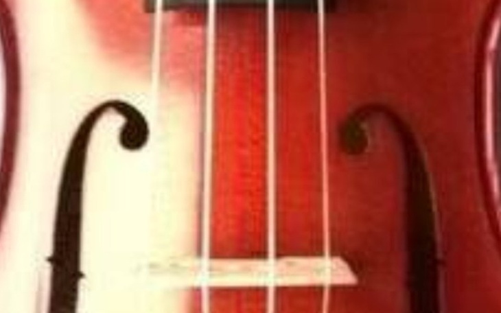 Zbiórka Zbieram na nowe skrzypce. - zdjęcie główne