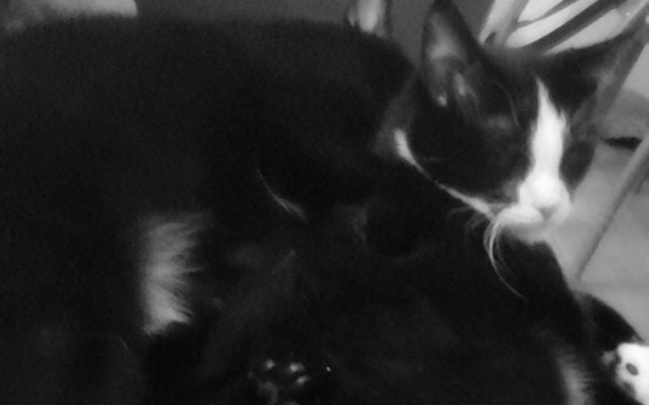 Zbiórka Pomoc w opłacie czynszu - zdjęcie główne