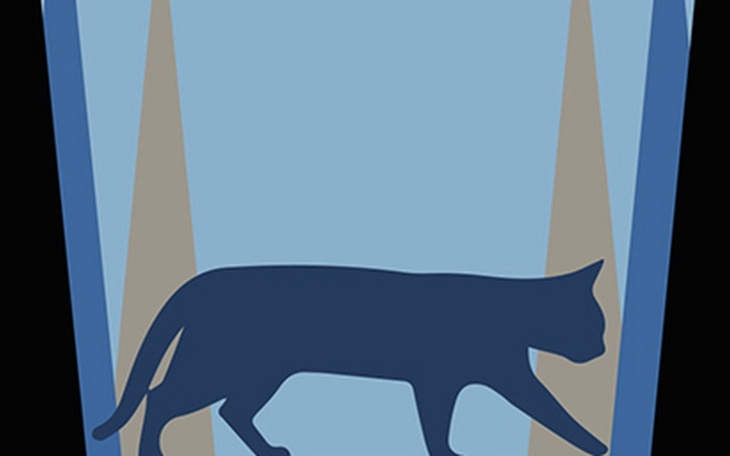 Zbiórka Zbiórka dla biednych kotów - zdjęcie główne