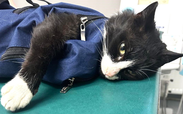 Zbiórka Na operację i leczenie Stasia - zdjęcie główne