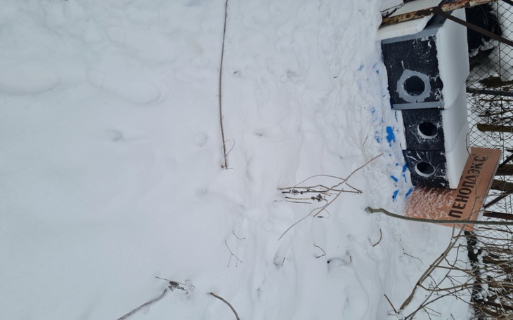 Zbiórka Kotki bezdomniczki - zdjęcie główne