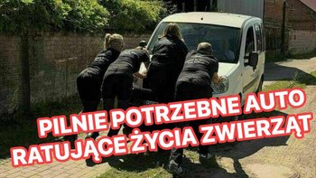 Zbiórka AUTO na ratunek zwierzętom! - miniaturka zdjęcia
