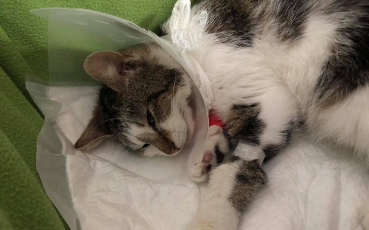 Zbiórka Pomoc dla Aleksia - zdjęcie główne