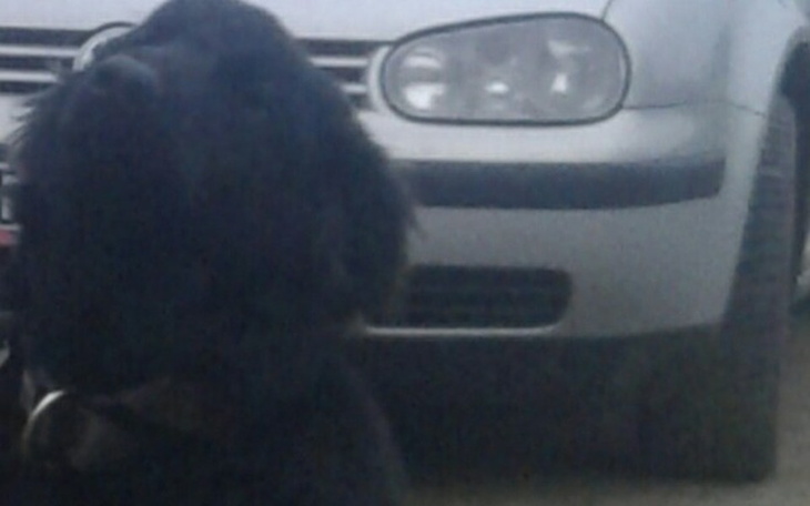 Zbiórka Żeby dzieciom się lepiej żyło - zdjęcie główne