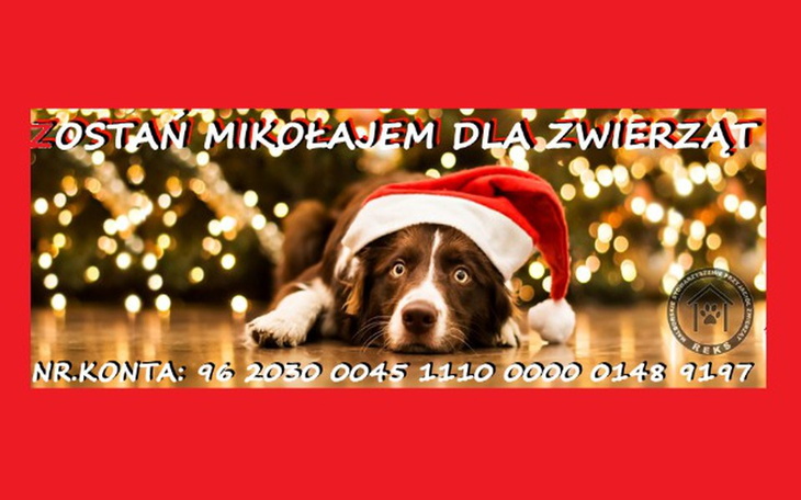 Zbiórka zostańMIKOŁAJEMdlaZWIERZĄT - zdjęcie główne