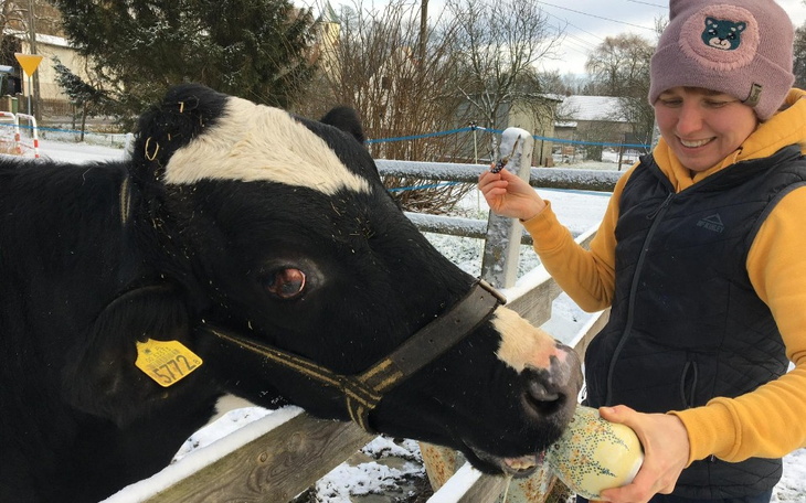 Zbiórka Wsparcie dla Ślepeczki - zdjęcie główne