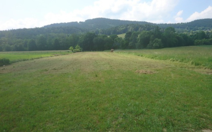 Zbiórka Swój własny dom :D - zdjęcie główne