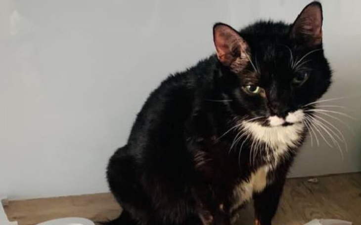 Zbiórka Ile jest warte życie Anakina - zdjęcie główne