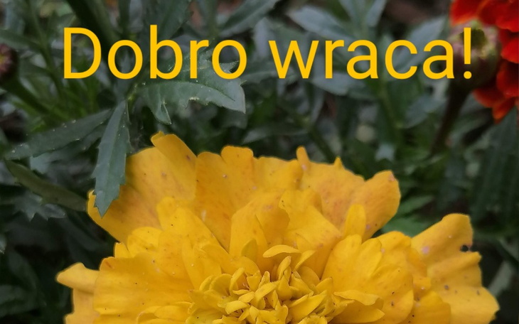 Zbiórka Na spokojne życie. - zdjęcie główne