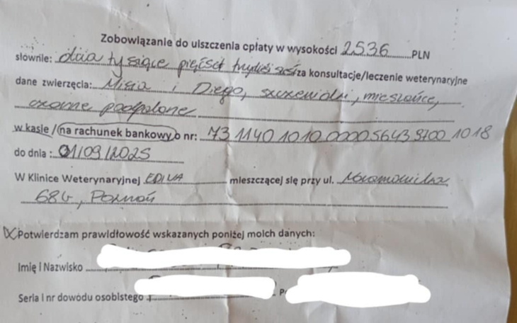 Dokument potwierdzający płatność za leczenie zwierzęcia.