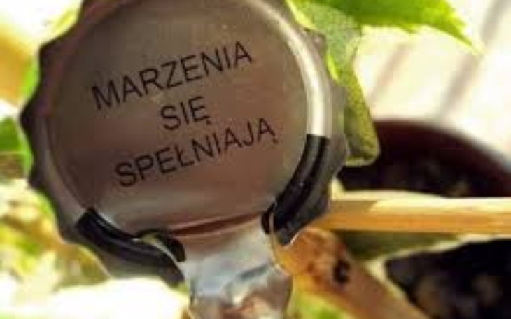 Zbiórka Na Marzenia100zł na Pomoc ukrai - zdjęcie główne