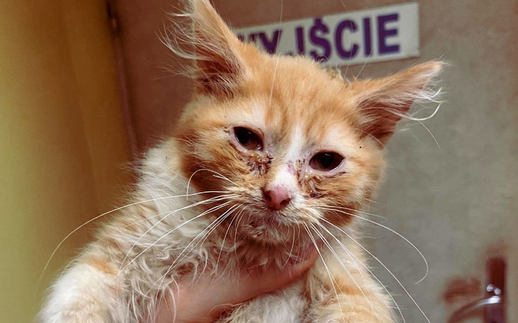 Zbiórka Kiedy tak bardzo chcesz żyć... - zdjęcie główne